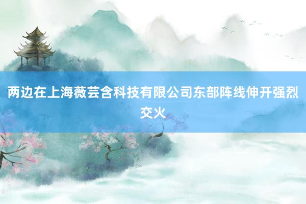 两边在上海薇芸含科技有限公司东部阵线伸开强烈交火