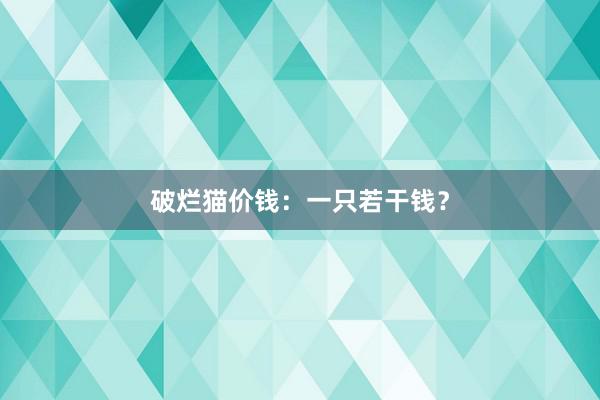 破烂猫价钱：一只若干钱？