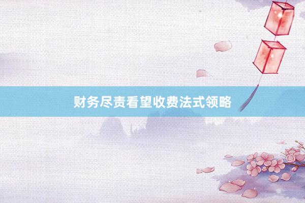 财务尽责看望收费法式领略