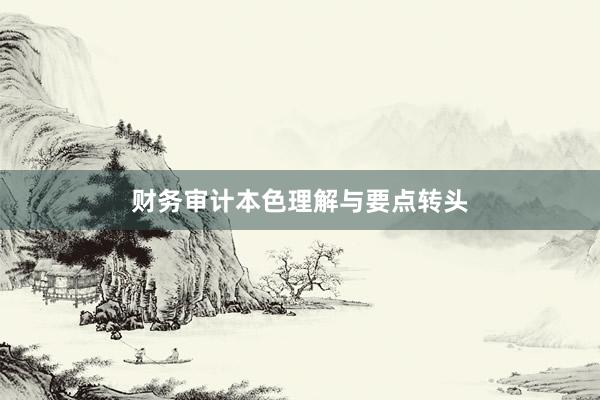 财务审计本色理解与要点转头